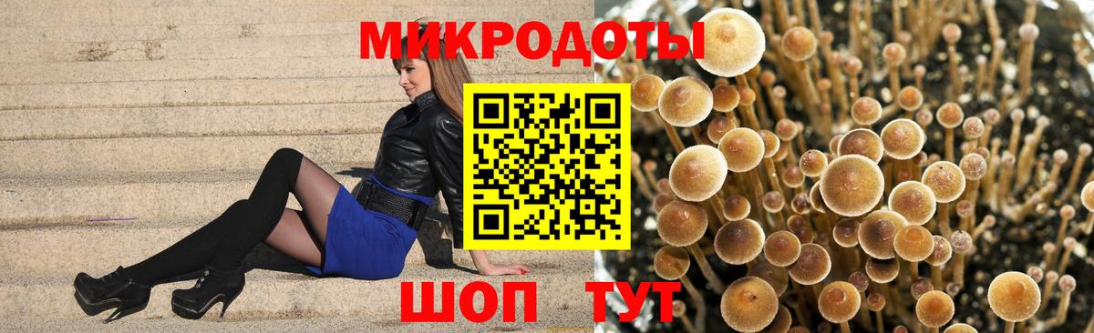 Псилоцибиновые грибы Cubensis  закладки  Бахчисарай  Вход с VPN 