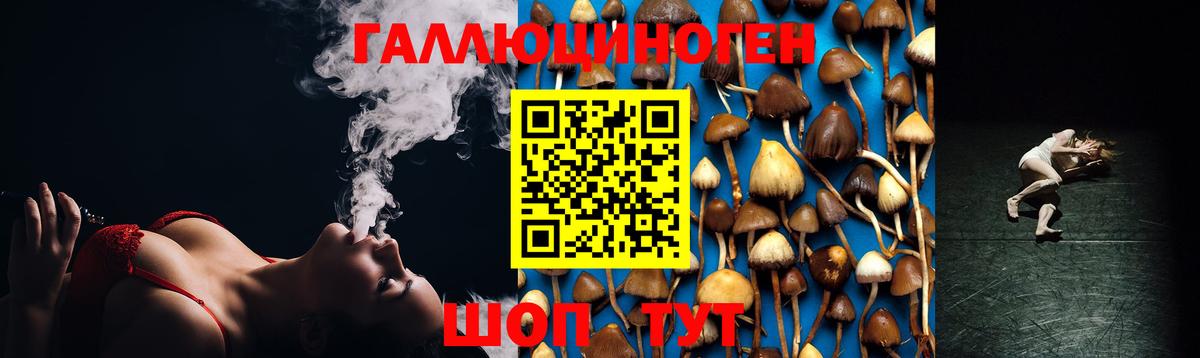 Галлюциногенные грибы Cubensis Бахчисарай